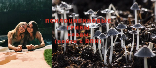 прущие крисы Мегион
