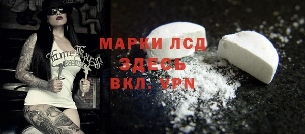 крисы Медвежьегорск