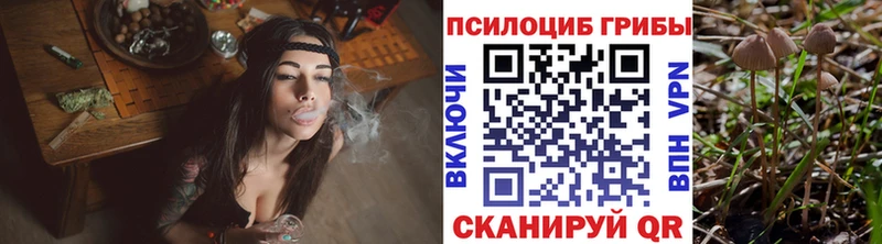 Галлюциногенные грибы мицелий  Александровское 